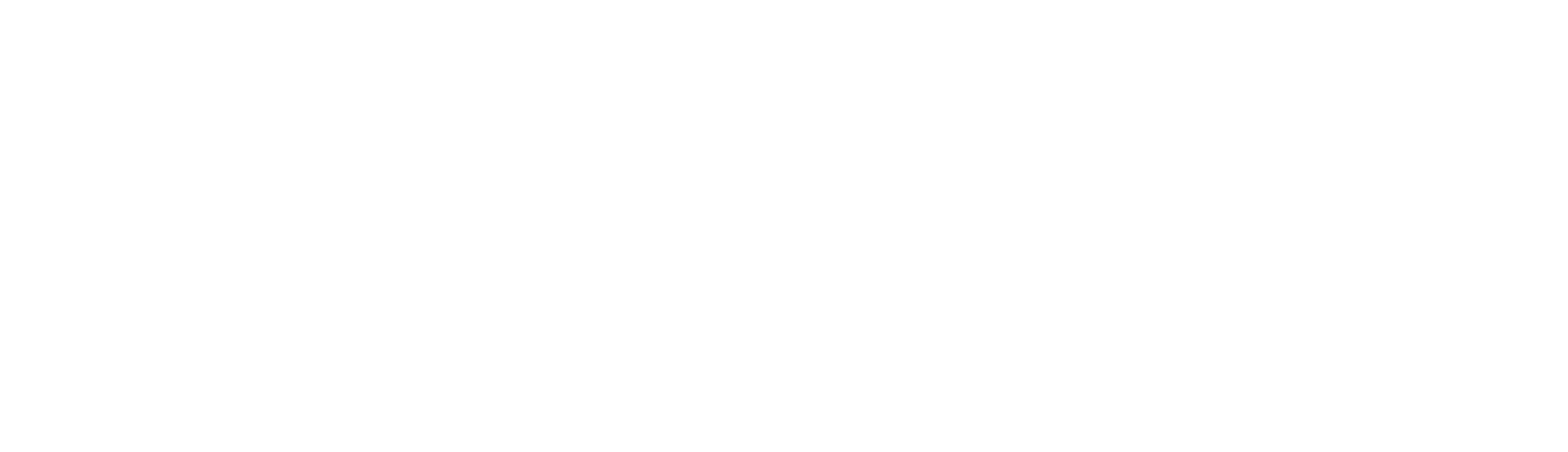 SISU Sales Logo